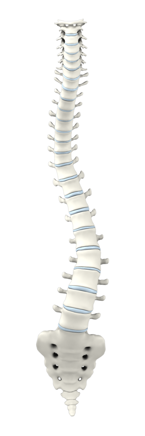 Scoliosis